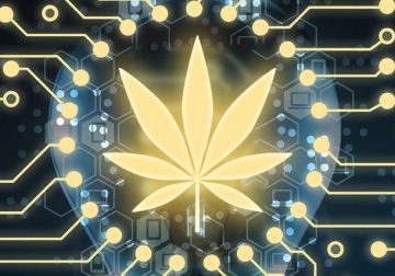 Does Blockchain Hold the Key to Solve Some Key Issues of Cannabis Industry?