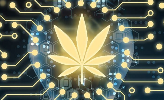 Cannabis Industry -Blockchain
