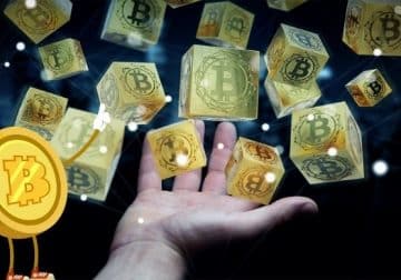 Bitcoin Is in a Bubble: 81% Fund Managers, BOA Survey